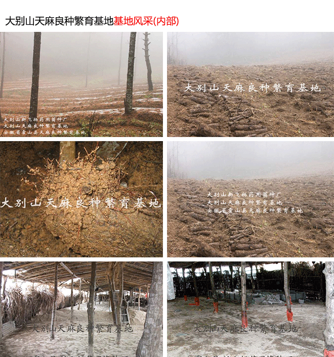未标题-1_02 未标题-1_02